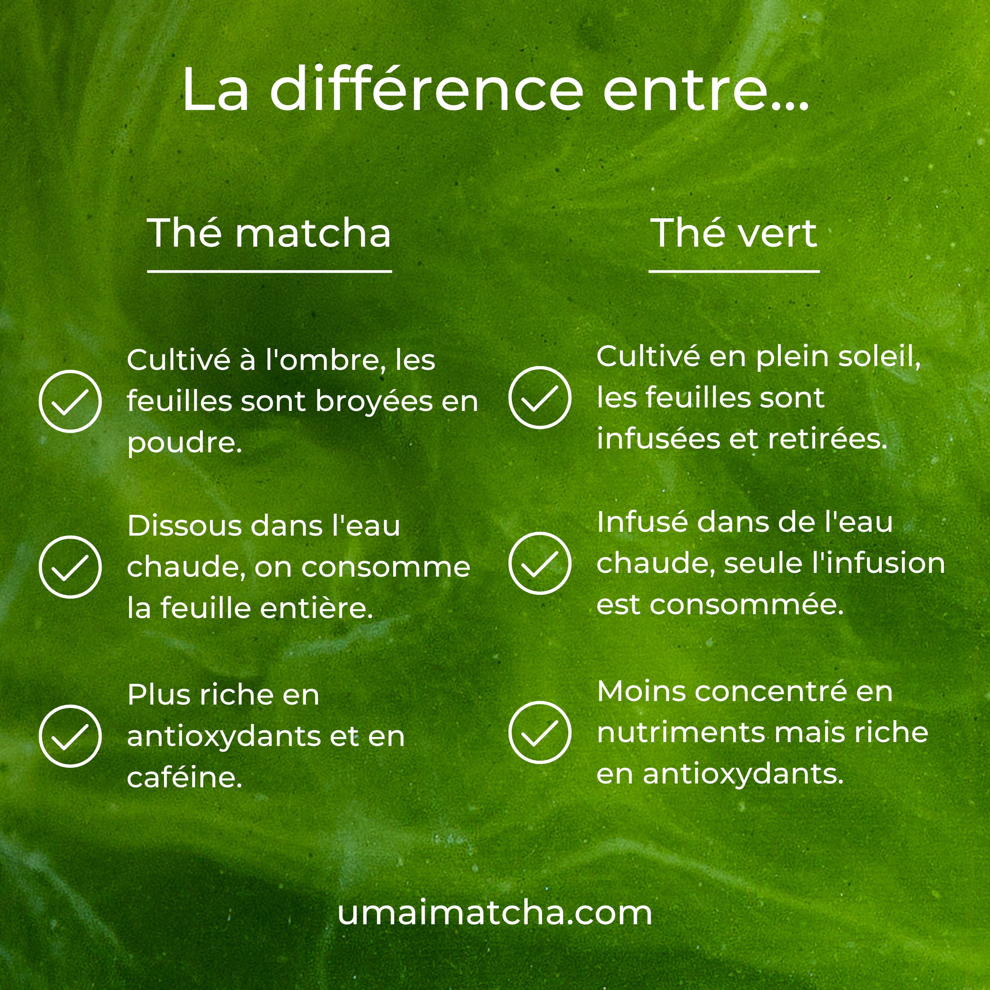 Umai Matcha Cérémonial
